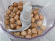 dolce di mele e nocciole dolce di mele e nocciole