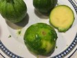 tubetti nelle zucchine tonde tubetti nelle zucchine tonde