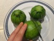 tubetti nelle zucchine tonde tubetti nelle zucchine tonde