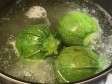 tubetti nelle zucchine tonde tubetti nelle zucchine tonde